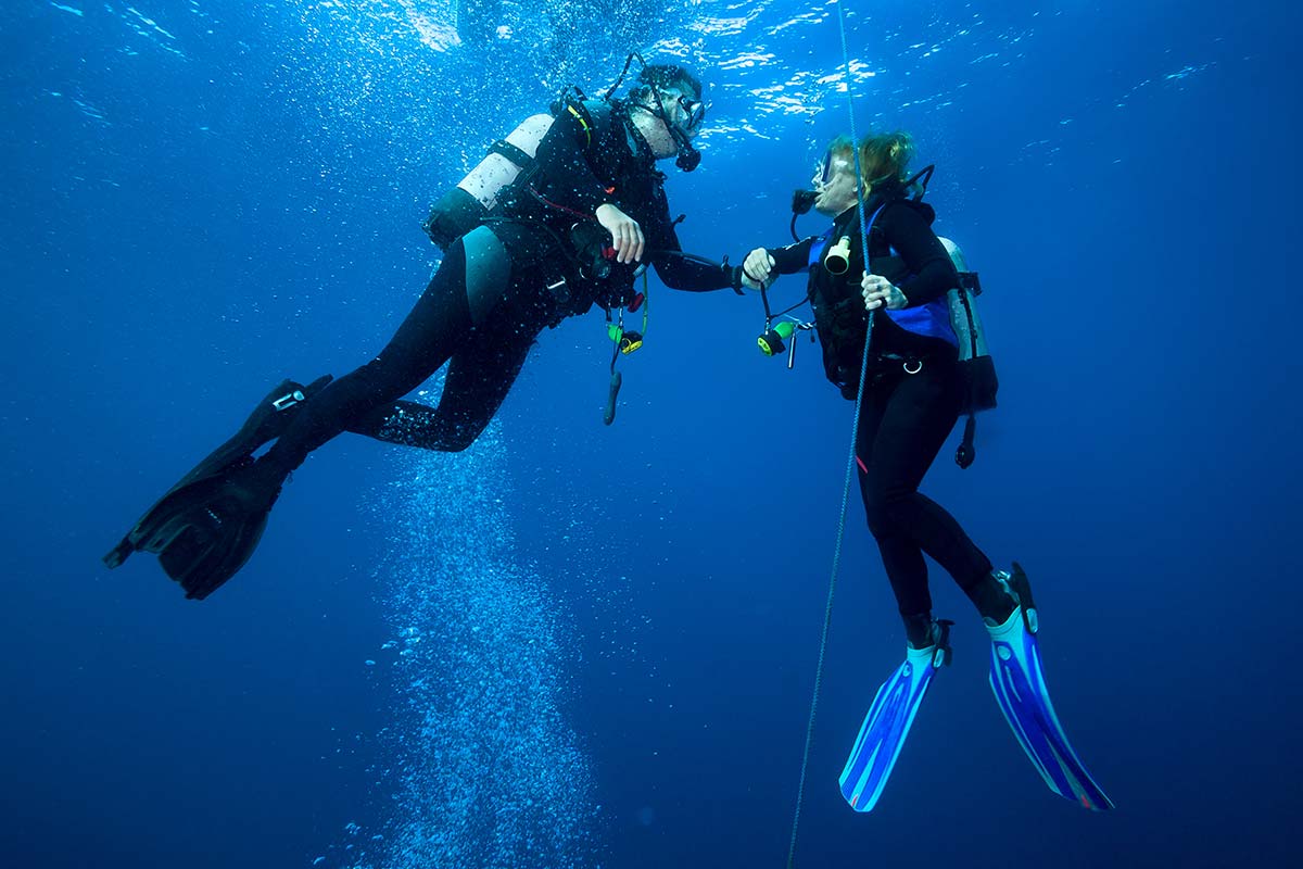 What is the Difference Between a Wetsuit vs Drysuit?