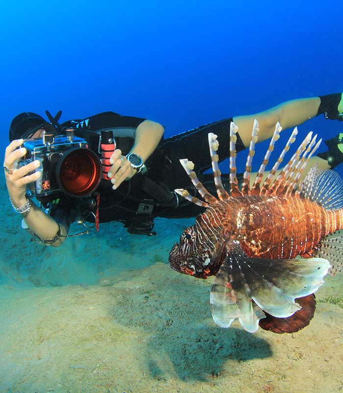 underwater photography composition with camera