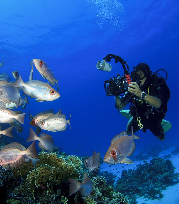 underwater photographer with camera and fish