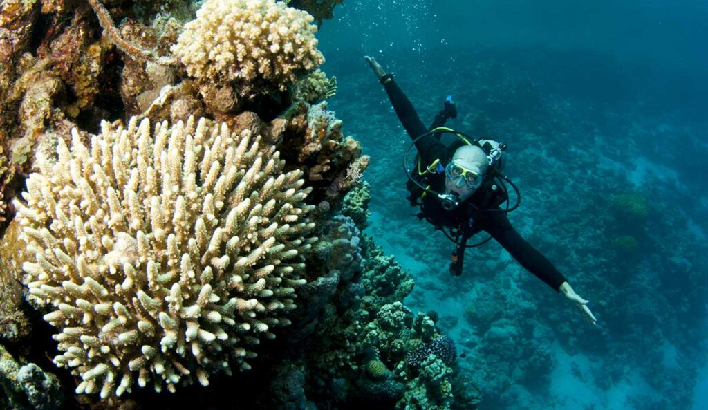 drift diving