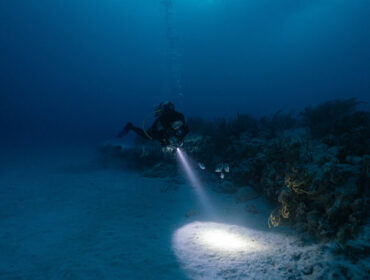 night scuba diving