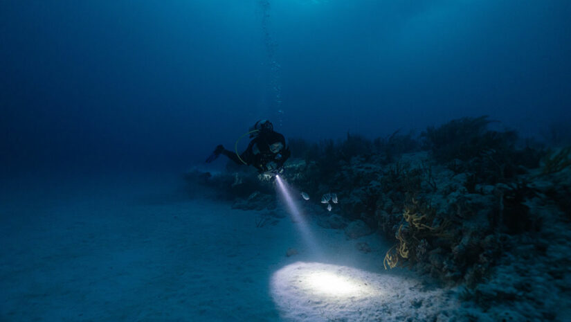 night scuba diving