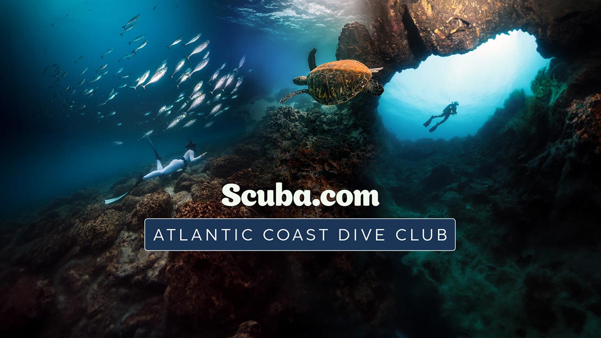 scuba.com atlantic coast dive club