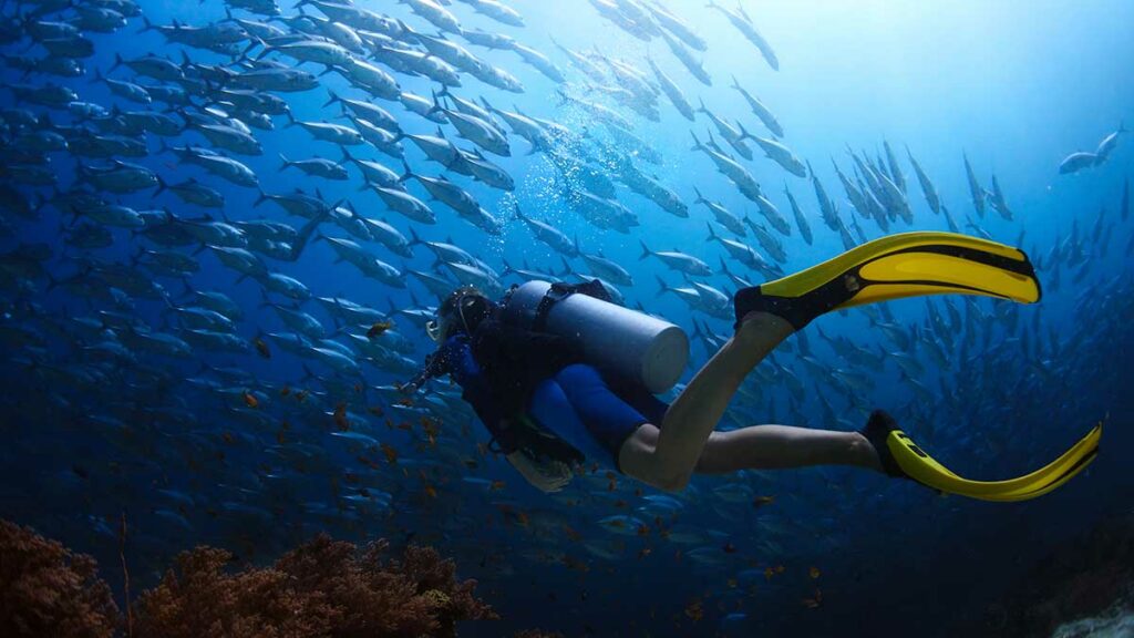 Scuba & Snorkeling Fins: Guide to Types & Fit 