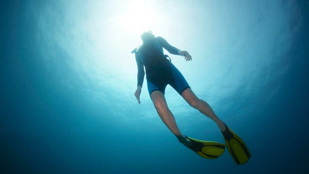 freediving fins