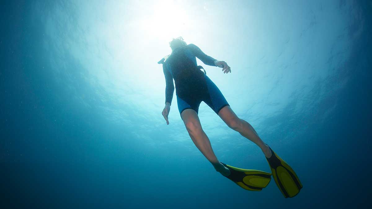 Wetsuit Thickness and Temperature Guide