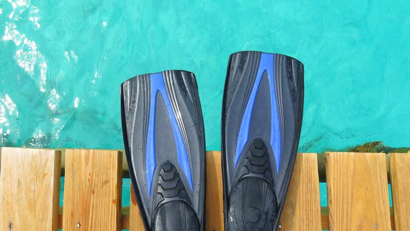 scuba diving fins