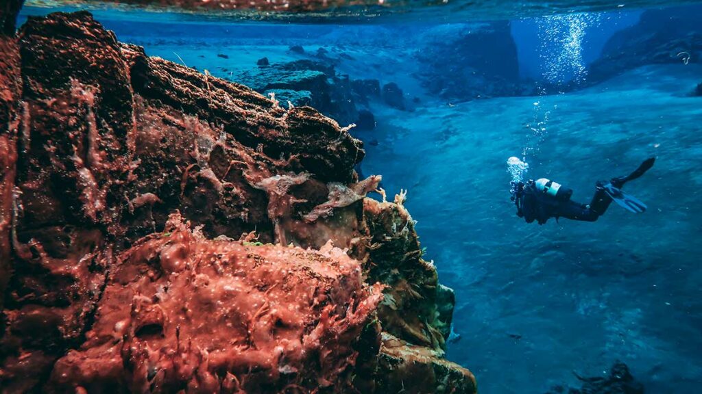 silfra fissure in iceland scuba diving