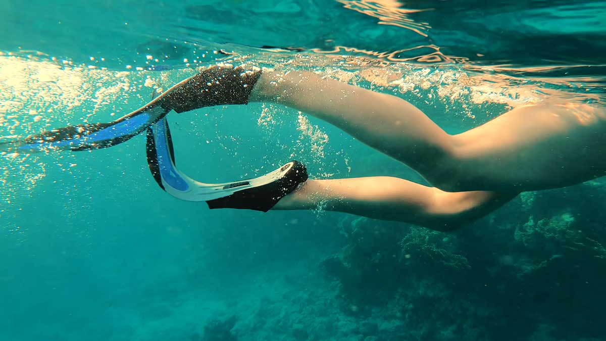 Scuba & Snorkeling Fins Guide to Types & Fit