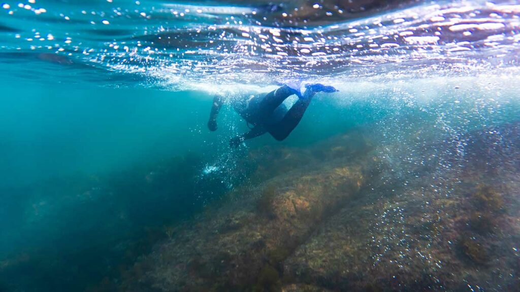 diver underwater