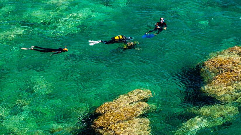 shore divers in water