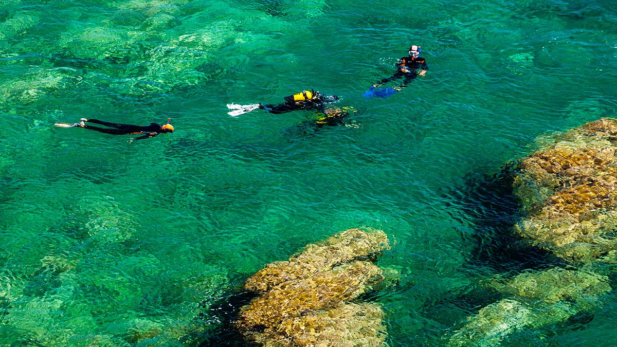 Shore Diving Guide How To, Tips & Destinations