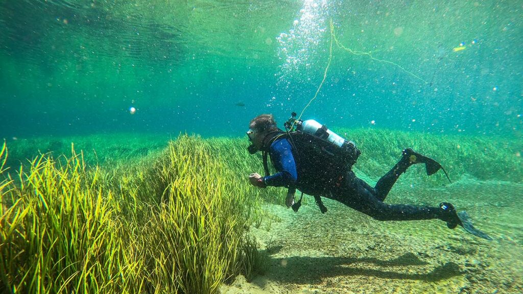 scuba diver river diving