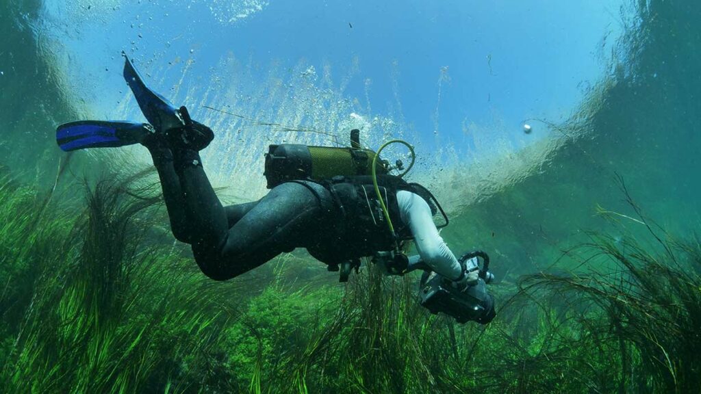 scuba diver river diving