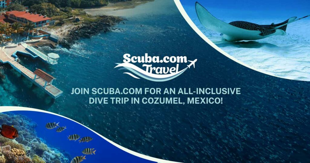 scuba.com travel dive trip to cozumel mexico