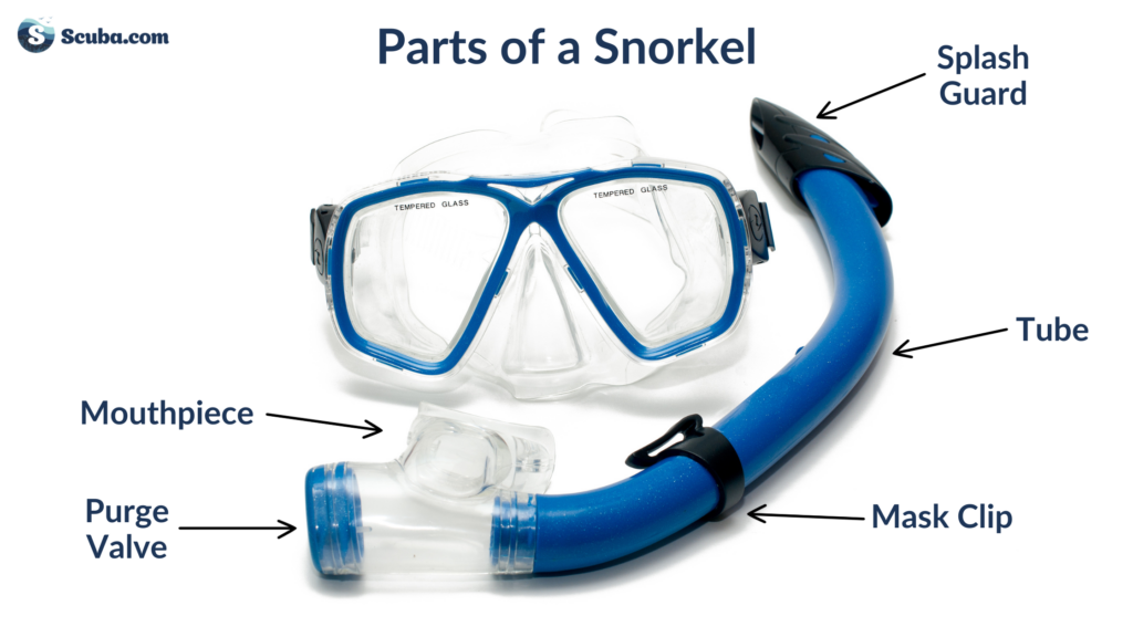 parts of a snorkel