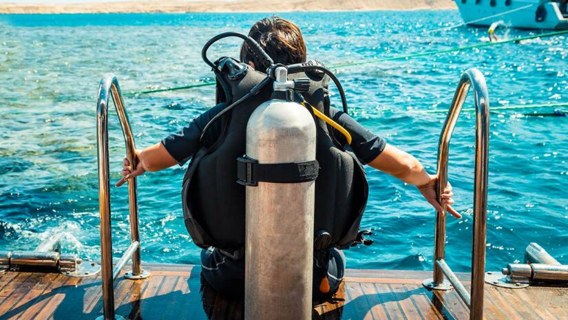 waiting to swim into the ocean