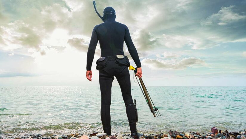 Ultimate Guide to Spearfishing & Freediving Wetsuits and Accessories 