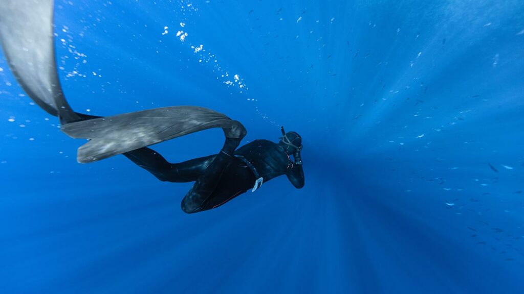 freediving fins