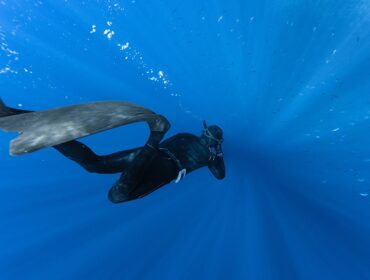 freediving fins