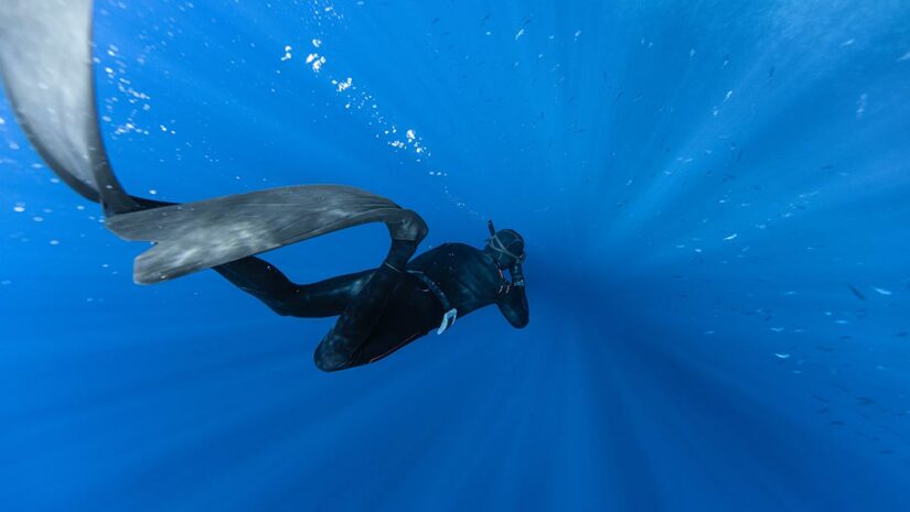 freediving fins