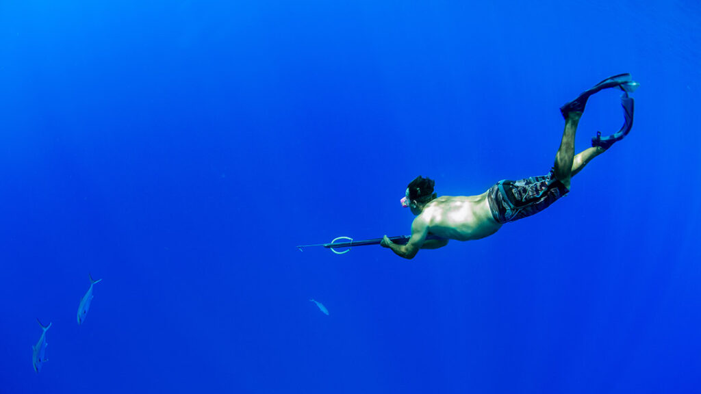 spearfishing underwater