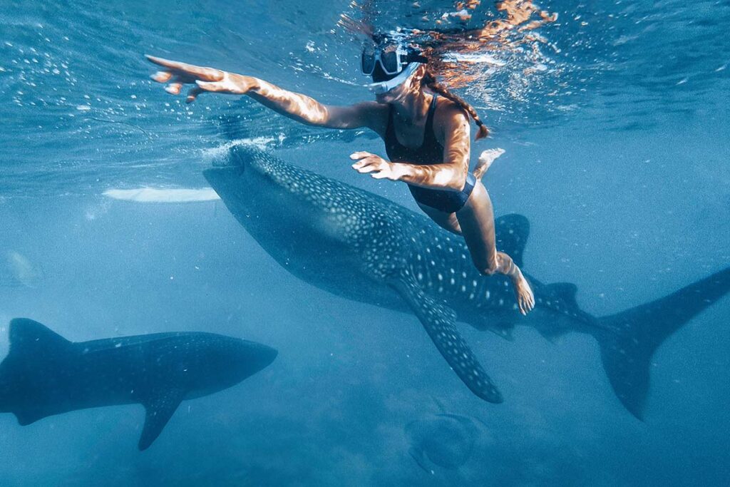 Woman-diving-close-interaction-in-Oslob-Philippines