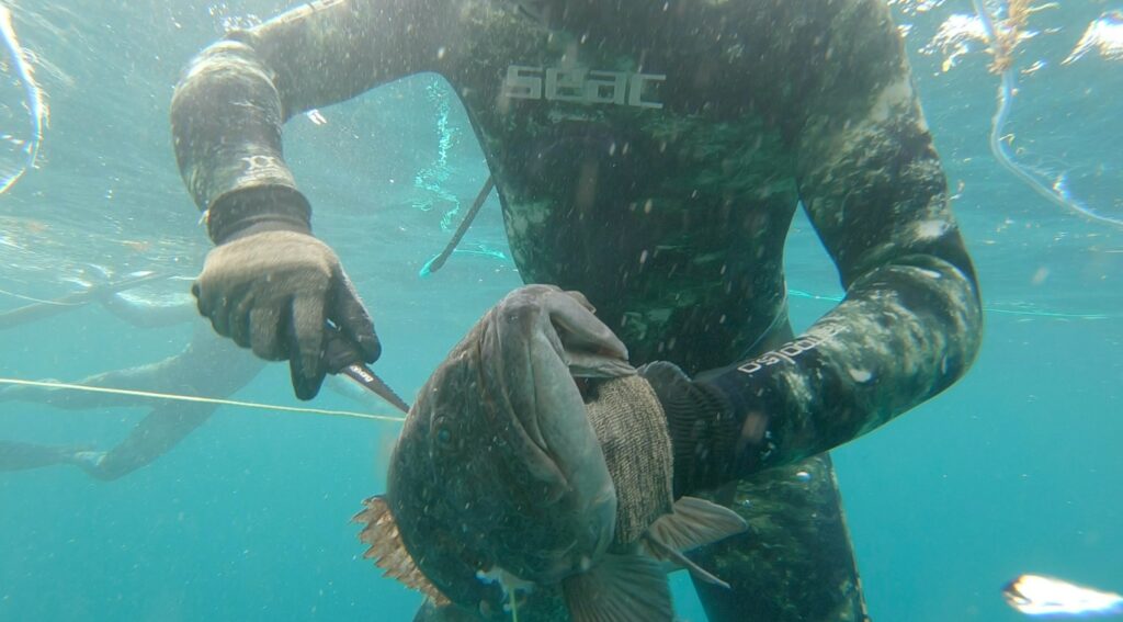 spearfishing gear