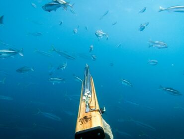Point of view of someone spearfishing
