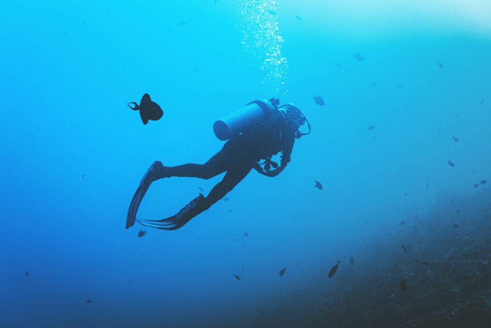 Diver underwater with fishes