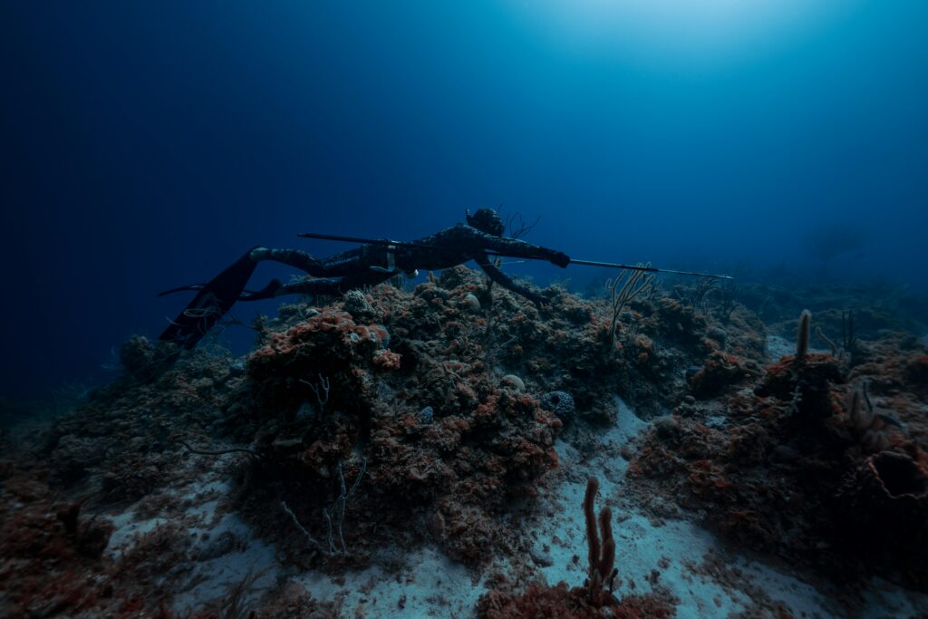 Underwater photo of spearfisher