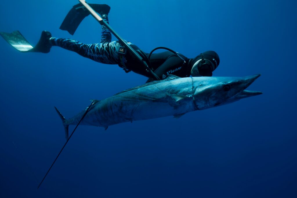 Spearfishing man beside fish