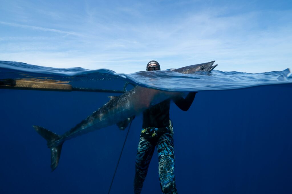 Spearfisher above water