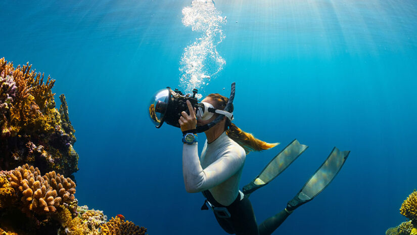 Image of a diver by Neom of unsplash