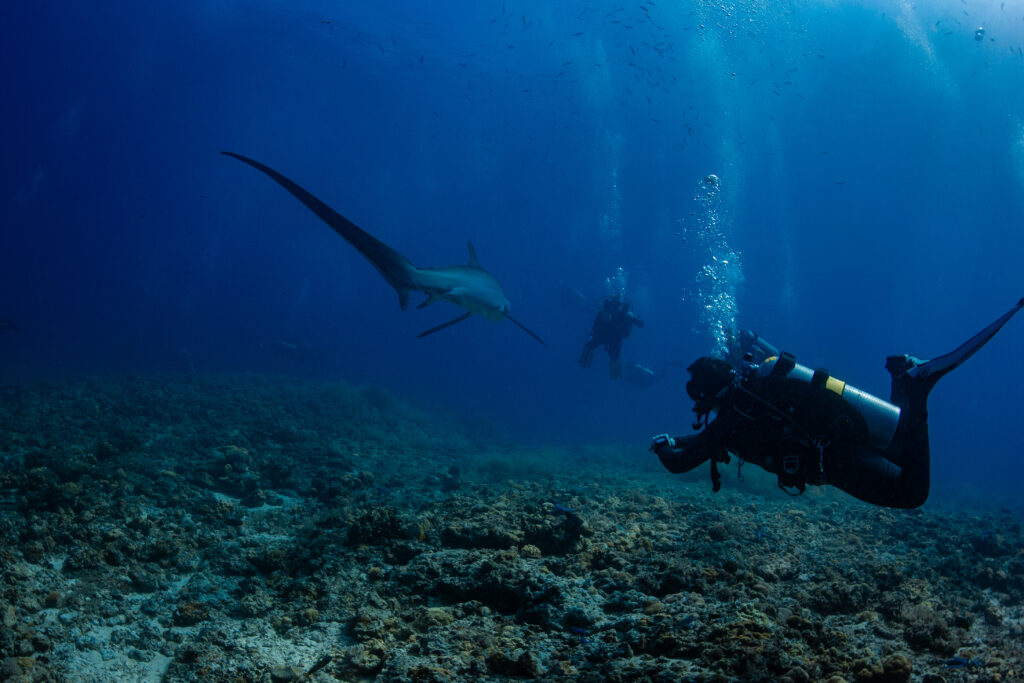 Woman scuba diving in Malapascua Island
