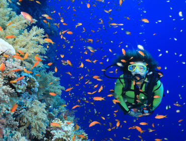 Tropical coral reef and scuba diver underwater in the Red Sea