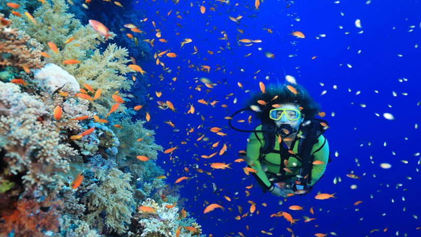 Tropical coral reef and scuba diver underwater in the Red Sea