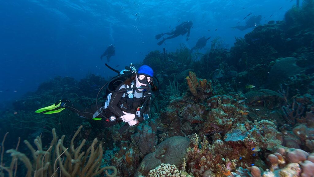 Diving in Bonaire