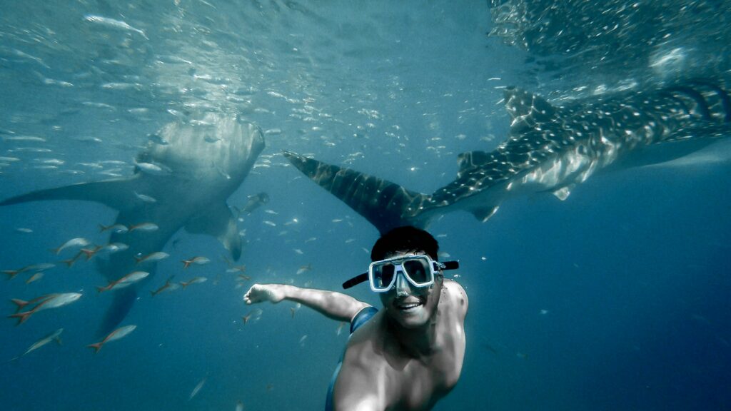 Man diving in the Philippines