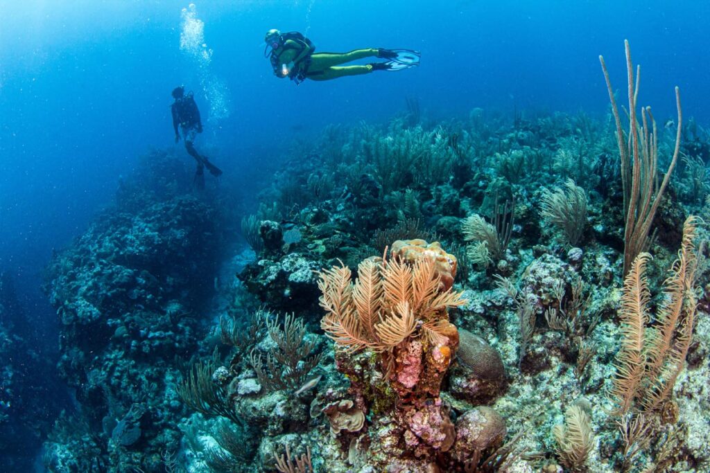 Scuba diving at a reef in Belize