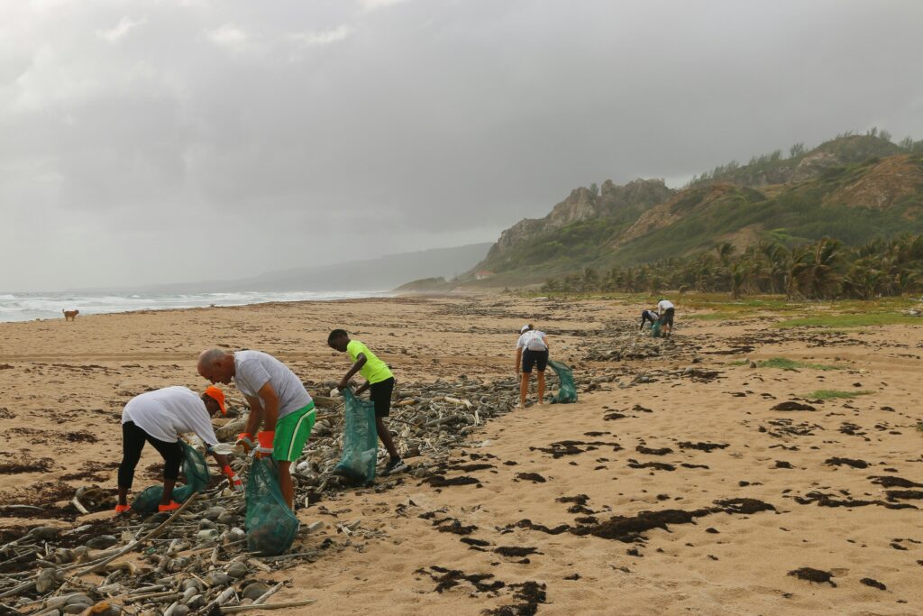Ocean conservation efforts