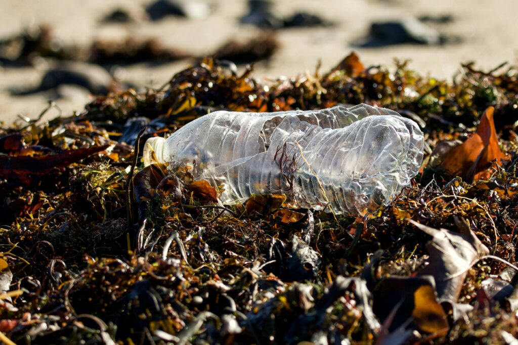 Trash that washed up on shore