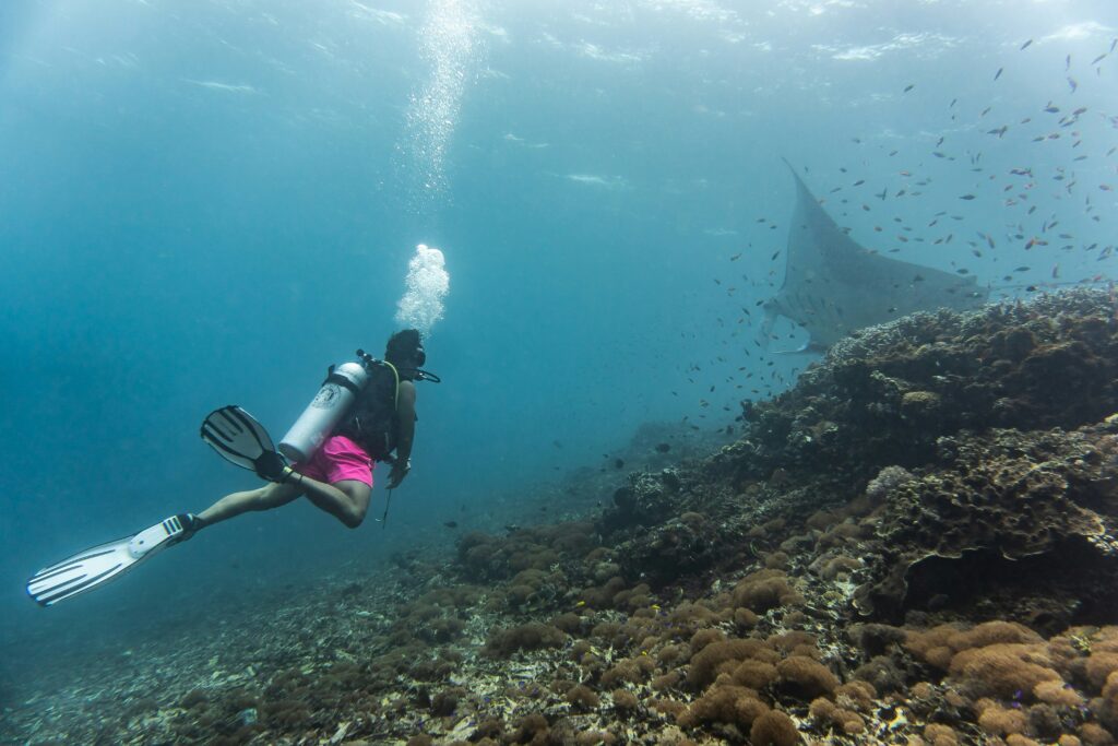 Free diver uses rule of thirds in diving