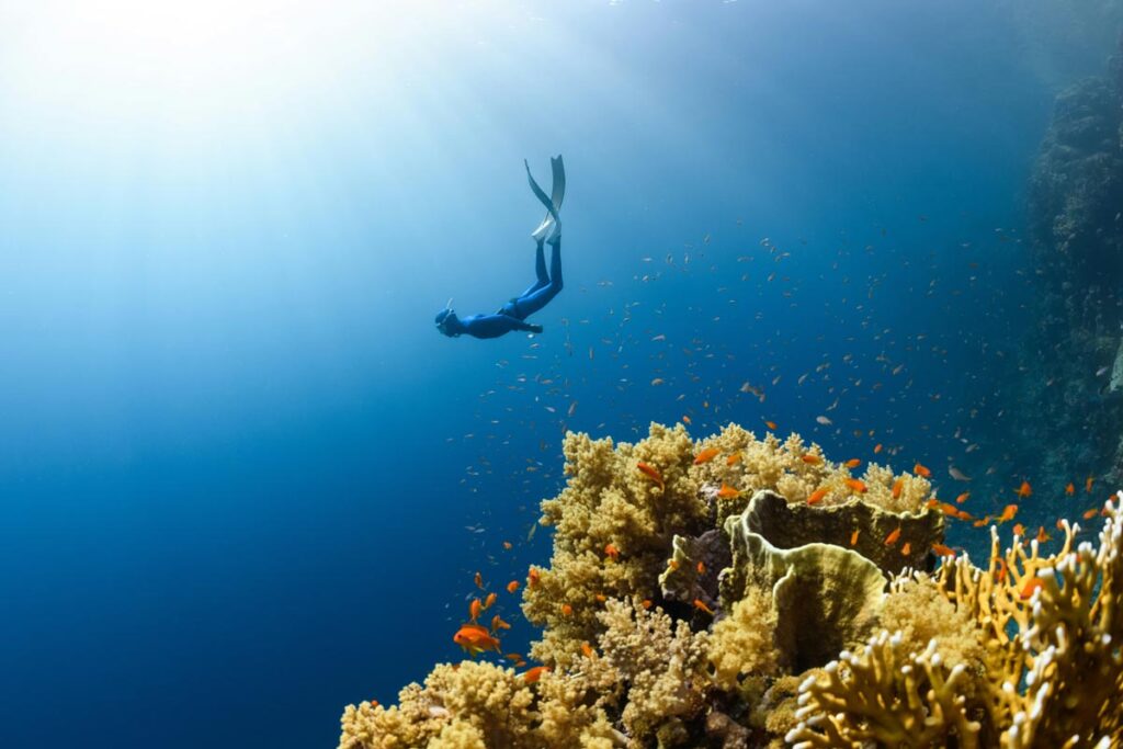 Overcoming Scuba Diving Anxiety