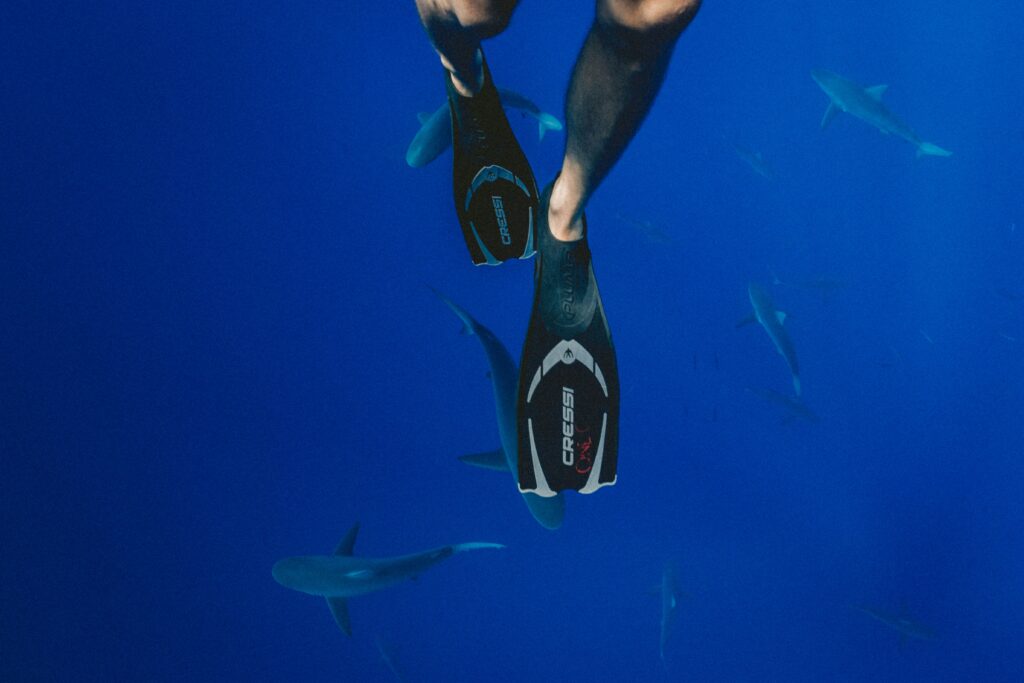 The 8 Best Underwater Cameras of 2024