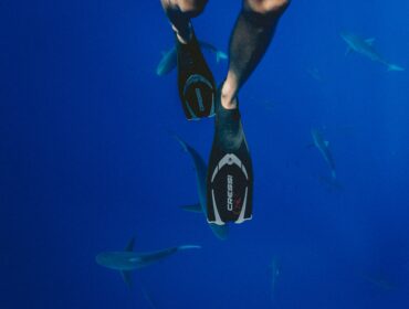 Photo of a man snorkeling using one of the best underwater cameras