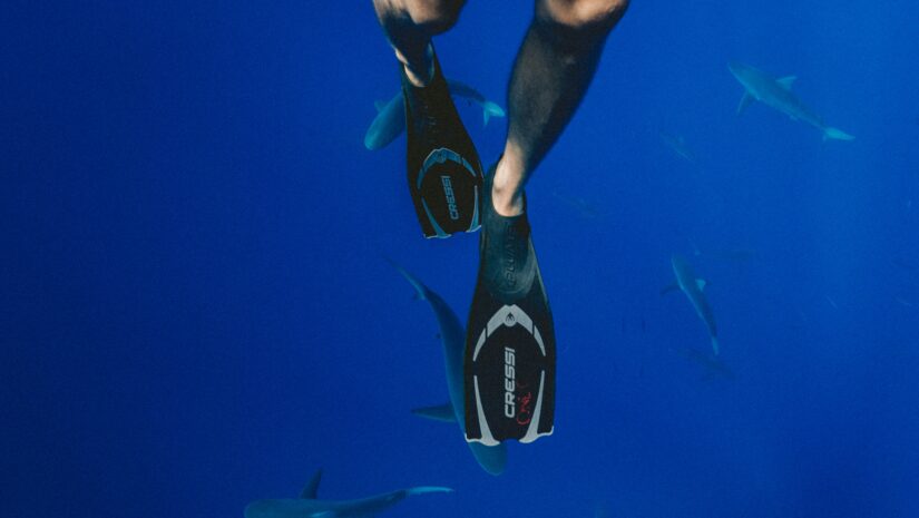 Photo of a man snorkeling using one of the best underwater cameras