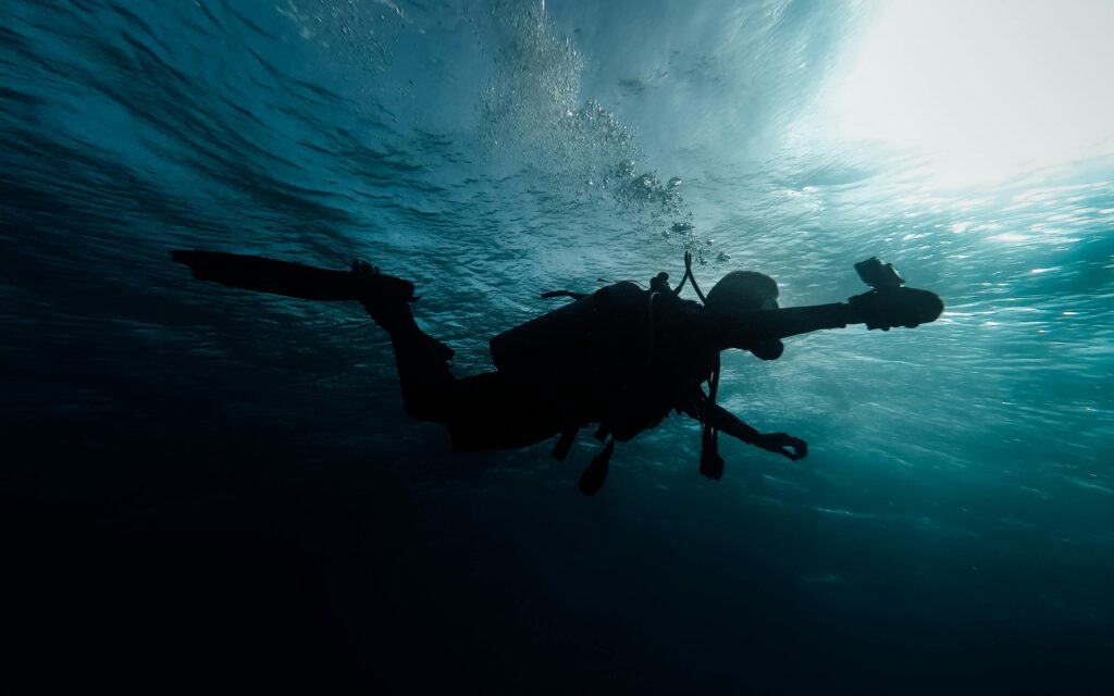 a fully equipped scuba diver