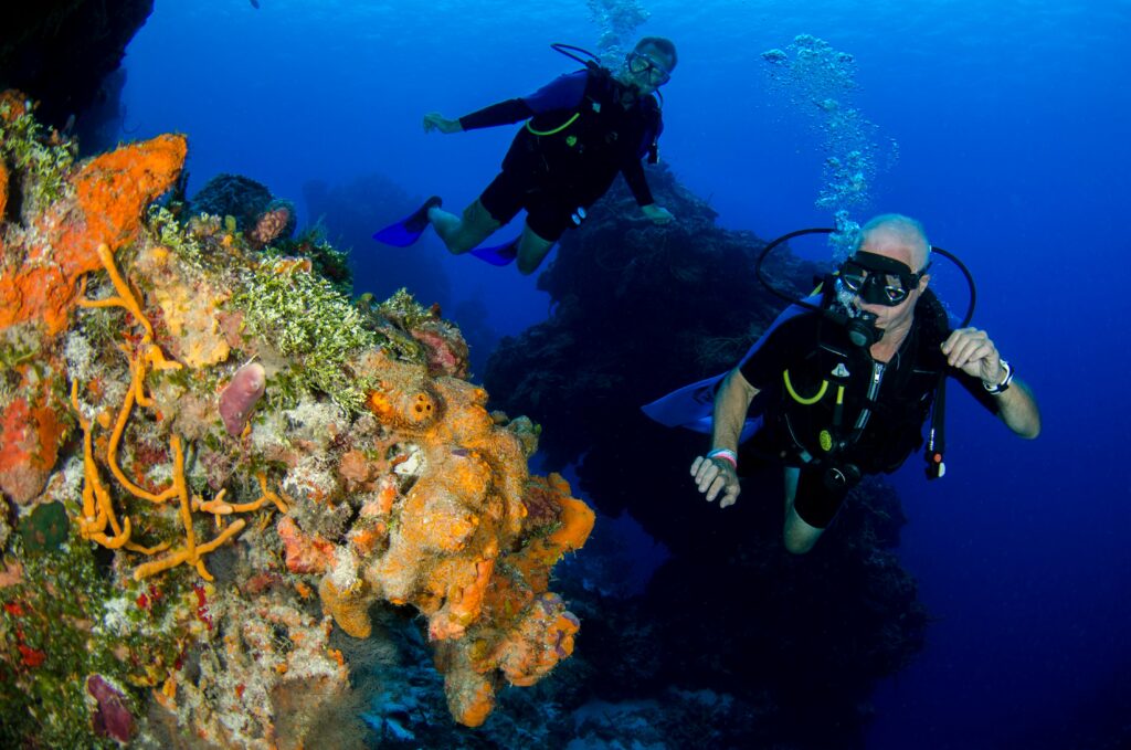 divers posing with a scuba diving gadget to gift a diver