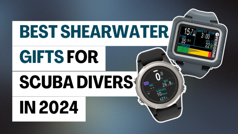 a thumbnail for Best Shearwater Gifts for Divers